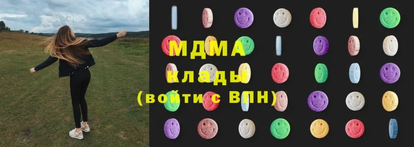 амф Гусь-Хрустальный