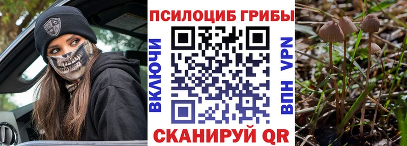 Псилоцибиновые грибы прущие грибы Вичуга