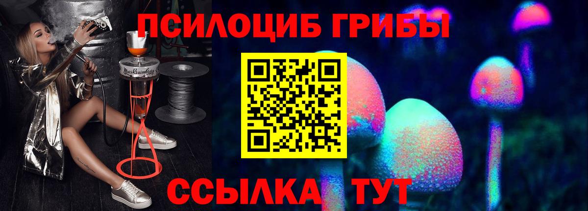 Вичуга  Псилоцибиновые грибы MAGIC MUSHROOMS  Вход с VPN 